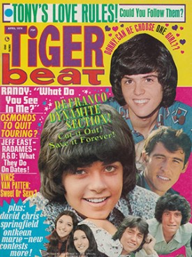 Tiger Beat  Donny, Randy, Tony - April 1974 (Collectible Single Back Issue Magazine)
