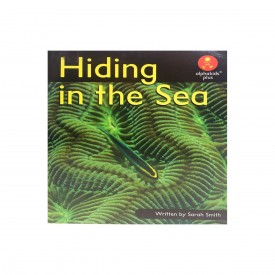 Hiding In The Sea (Alphkids Plus)