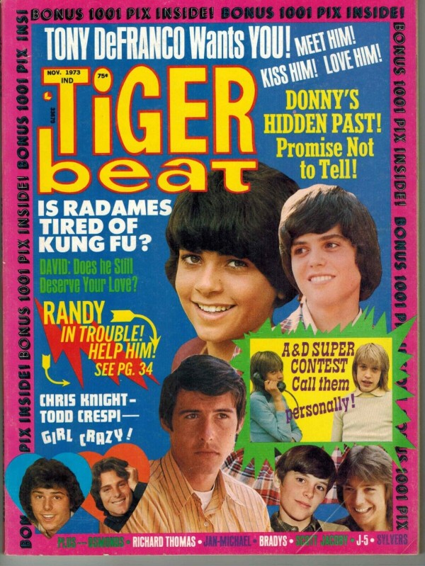 Tiger Beat  Donny, Randy, Tony - November 1973 (Collectible Single Back Issue Magazine)