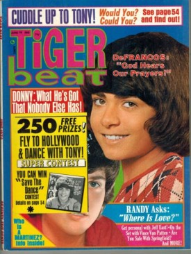 Tiger Beat  Donny, Randy, Tony - June 1974 (Collectible Single Back Issue Magazine)