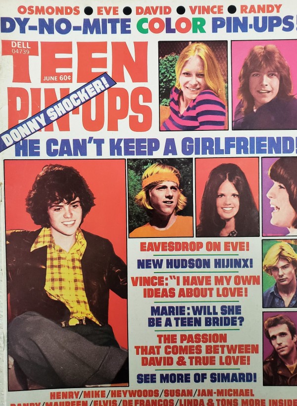 Teen Pin-Ups Michael Jackson, Elvis Presley, David Cassidy, Susan Dey, Maureen McCormick June 1973 (Collectible Single Back Issue Magazine)