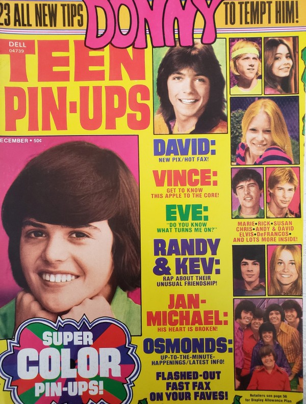 Teen Pin-Ups 16 Fabulous Color Pin Ups Jackson Five, Elvis, Osmonds, Cassidy & More February 1974 (Collectible Single Back Issue Magazine)
