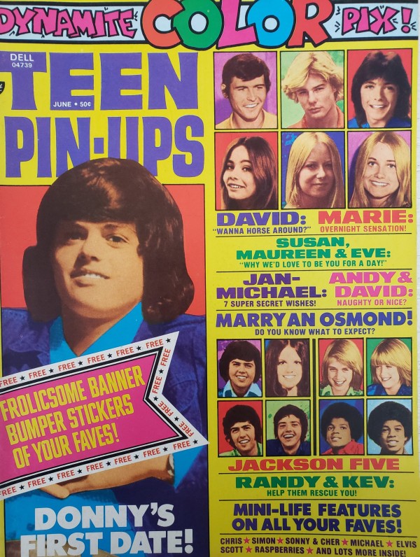Teen Pin-Ups 17 Dynamite Color Pix Osmonds, Cassidy, Elvis, Knight, Andy & David June 1974 (Collectible Single Back Issue Magazine)