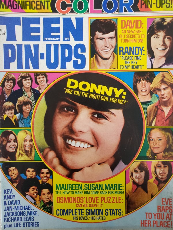 Teen Pin-Ups David Cassidy, Marie Osmond, Eve Plumb December 1974 (Collectible Single Back Issue Magazine)