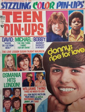 Teen Pin-Ups Osmonds, Elvis, David, Linda Blair, Randy, Donny, Vince June 1975 (Collectible Single Back Issue Magazine)