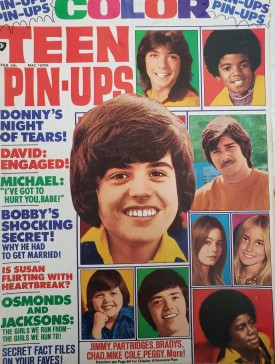 Teen Pin-Ups Vince, Eve, Elvis, The Hudsons, David, Tony, Marie August 1975 (Collectible Single Back Issue Magazine)