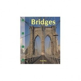 Bridges (Newbridge Discovery Links)