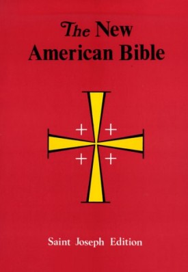 New American Bible/ Saint Joseph Edition/No.611/04 (Paperback)