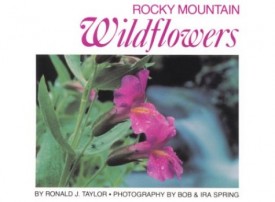 Rocky Mountain Wiildflower Mix - Stover Seed since 1922