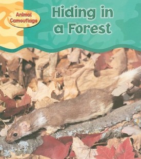 Hiding in a Forest (Animal Camouflage) (Paperback)