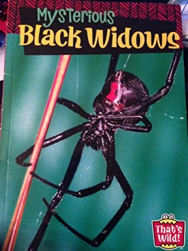 Mysterious Black Widows (Thats Wild!) (Paperback)
