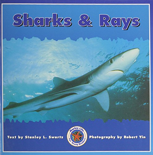 SHARKS & RAYS (Dominie Marine Life Young Readers)