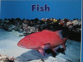 FISH PAPERBACK (Dominie Marine Life Young Readers)