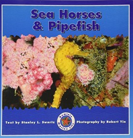 Sea Horses & Pipefish (Dominie Marine Life Young Readers)
