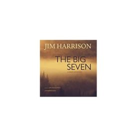 The Big Seven: A Faux Mystery (Audiobook CD)