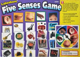 Lakeshore Five Senses Game