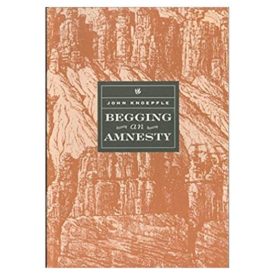 Begging an Amnesty (Paperback)
