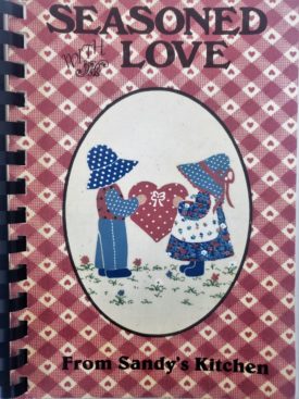 Vintage 1993 Seasoned With Love from Sandy's Kitchen Cookbook Wabash County, Indiana (Plastic-comb Paperback)