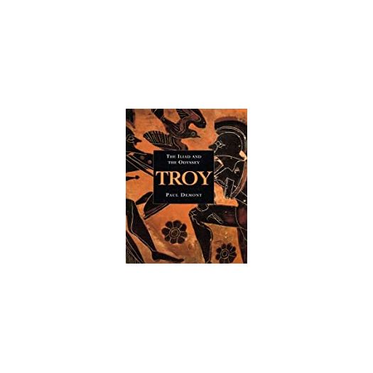 Troy: The Iliad and The Odyssey (Hardcover)