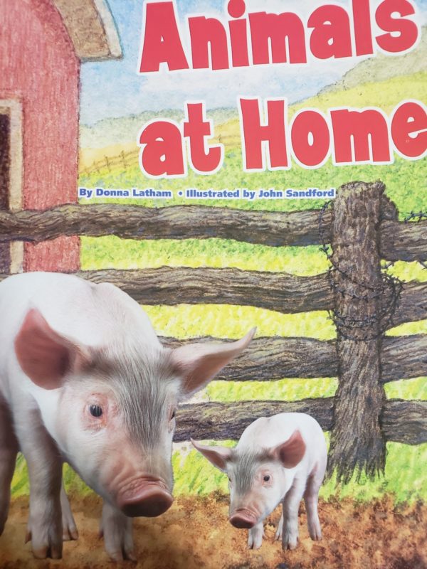Reading 2007 Kindergarten Student Reader Grade K Unit 6 Lesson 6 on Level (Animals At Home) (Paperback)