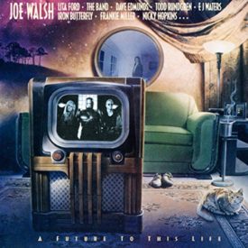 A Future To This Life - Joe Walsh (Audio CD)