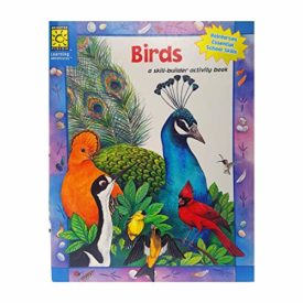 Birds, a Skill Builder Activity Book (Brighter Vision Learning Adventures) (Paperback)