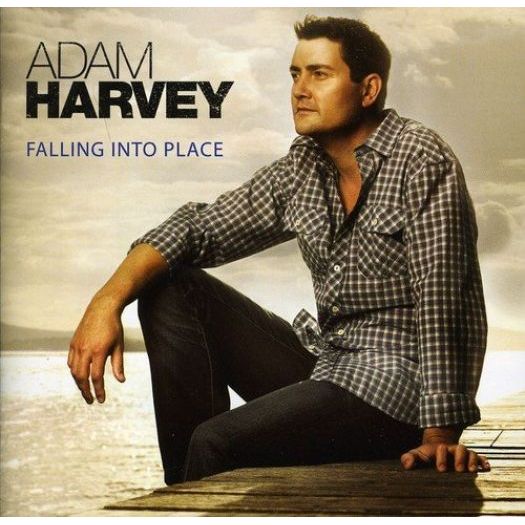 Falling Into Place (Music CD)