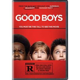 Good Boys (DVD)