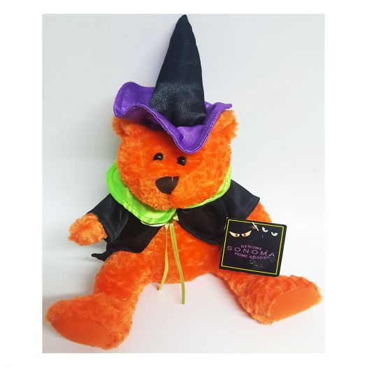 Sonoma Halloween Plush Bear In Witch/Wizard Costume 10