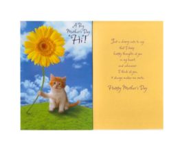 Mothers Day Greeting Card Whimsical [Office Product]