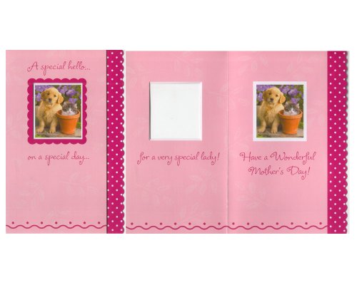 Mothers Day Greeting Card Special Hello [Office Product]