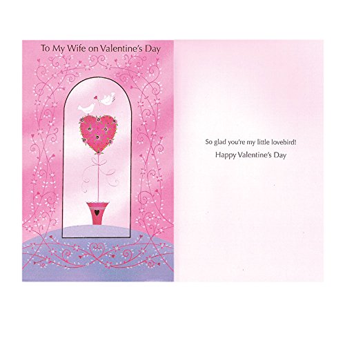 Valentines Day Greeting Card - To My Wife On Valentines Day [Office Product]