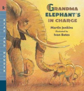 Grandma Elephants in Charge: Read and Wonder