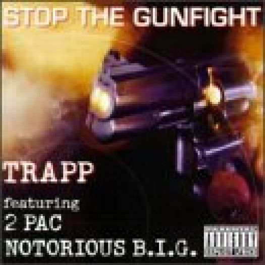 Stop The Gunfight (Music CD)