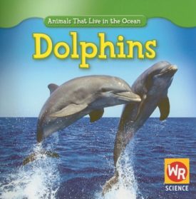 Dolphins (Animals That Live in the Ocean) (Paperback)