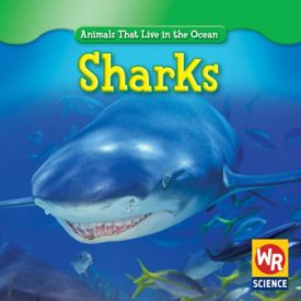 Sharks (Animals That Live in the Ocean) (Paperback)