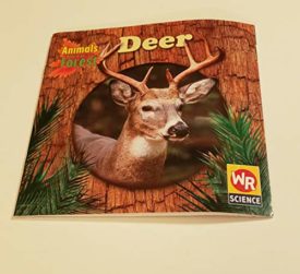 Deer (Animals That Live in the Forest) (Paperback)