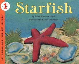 Starfish (Lets-Read-and-Find-Out Science) (Paperback)