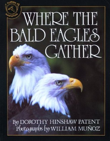 Where the Bald Eagles Gather (Paperback)