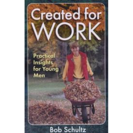 Created for Work: Practical Insights for Young Men (Paperback)