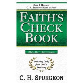 Faiths Check Book (Paperback)