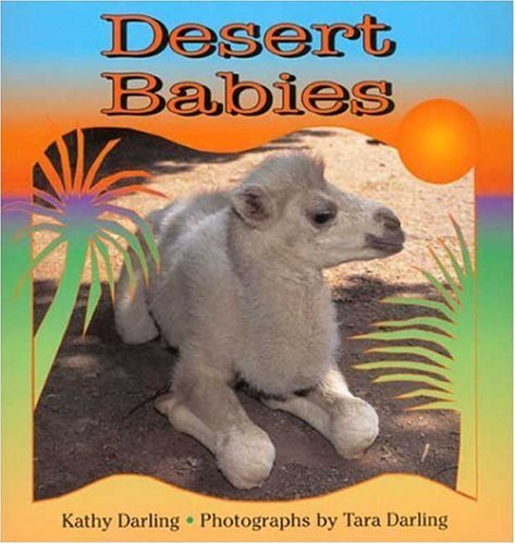 Desert Babies (Paperback)