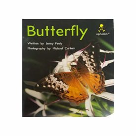 Butterfly (Alphakids) (Paperback)