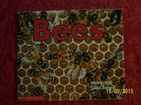 Bees (Time-to-Discover) (Paperback)