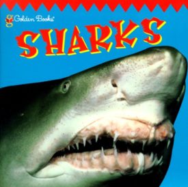 Sharks (Look-Look) (Paperback)