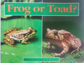 READY READERS, STAGE 4, BOOK 15, FROG AND TOAD (Paperback)
