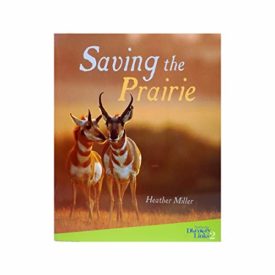 Saving The Prairie (Paperback)