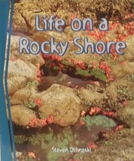 Life on a Rocky Shore (Guided Reading) Newbridge Discovery Links Grade 4 (Paperback)