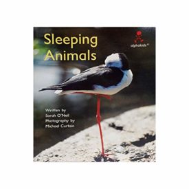 Sleeping Animals (Alphakids) (Paperback)