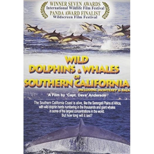 Wild Dolphins and Whales of Southern California (DVD)